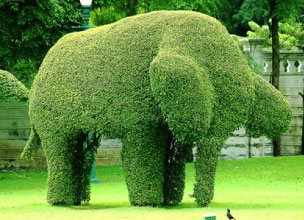 トピアリー画像